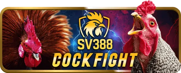 Nổ hũ SCLUB88 CODE